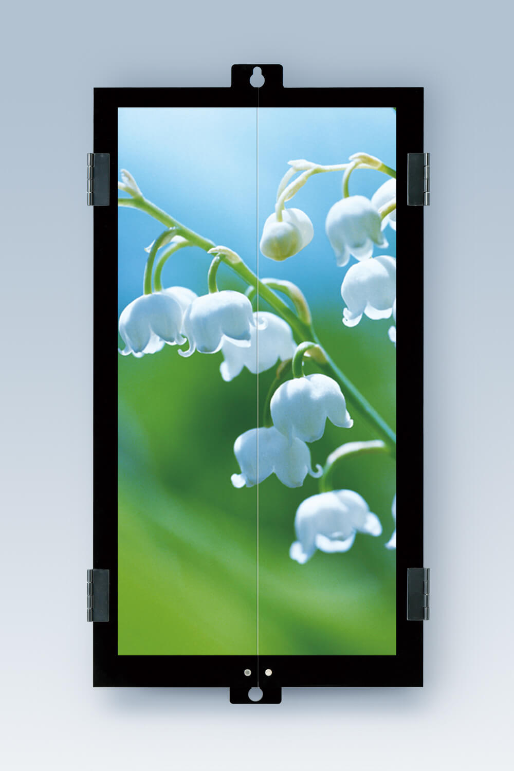 KABEKAKE Black (Lilly of the Valley) Wall-hanging/Mounting
